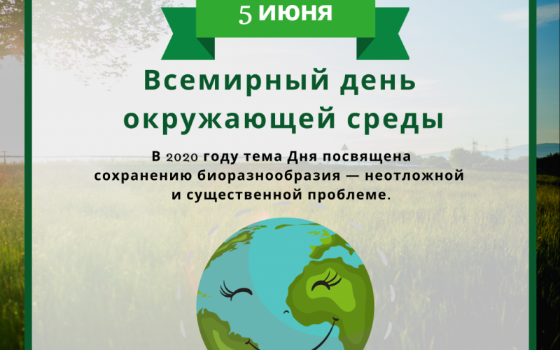 Всемирный день окружающей среды.